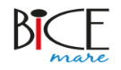 Bice Mare Restaurant logo
