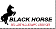 Black Horse Security logo