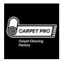 Carpet Pro logo