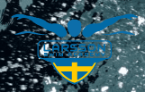 Larsson Swim Academy logo