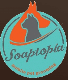 Soaptopia Dubai logo