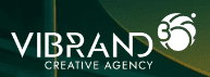 Vibrand 360 logo