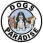 Dogs Paradise Grooming – Pet Grooming Service South Delhi logo