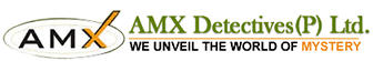 AMX Detective Agency in Delhi – Private Detective In Delhi logo