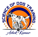 Ashok Kumar Dog Trainer logo