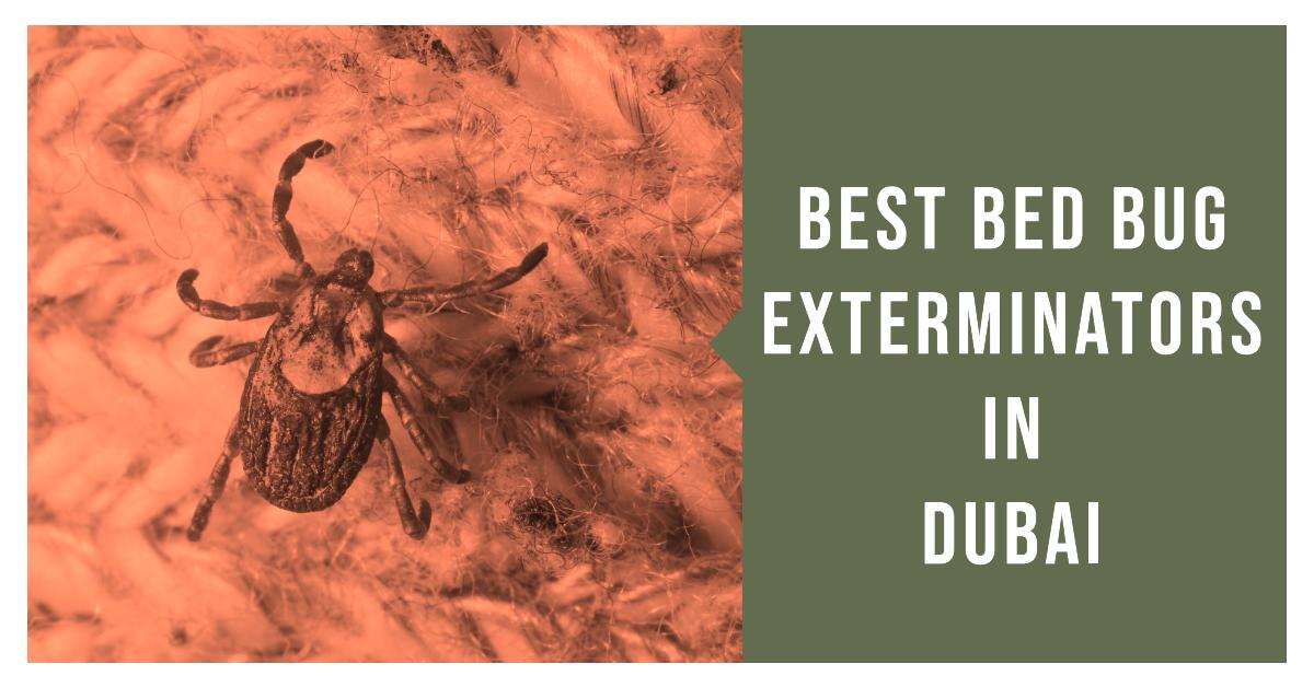 5 Best Bed Bug Exterminators In Dubai (2026)