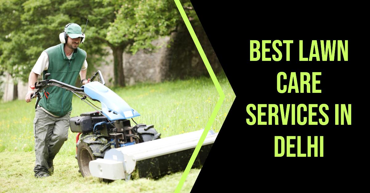 5 Best Lawn Care Services In Delhi (2026)
