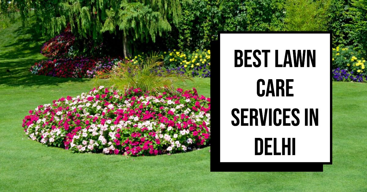 5 Best Lawn Care Services In Dubai (2026)