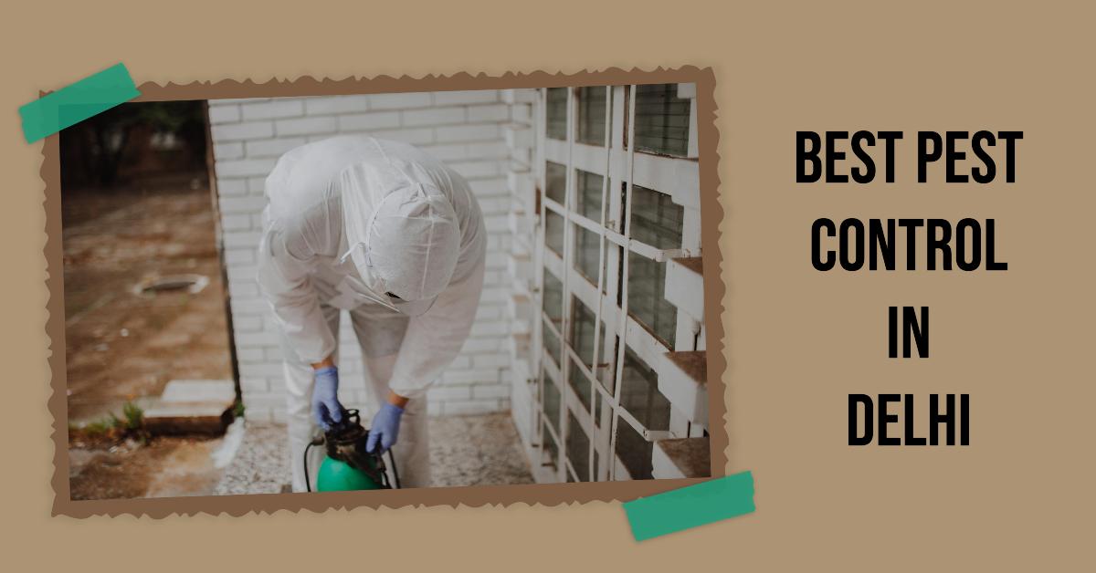 5 Best Pest Control In Delhi (2026)
