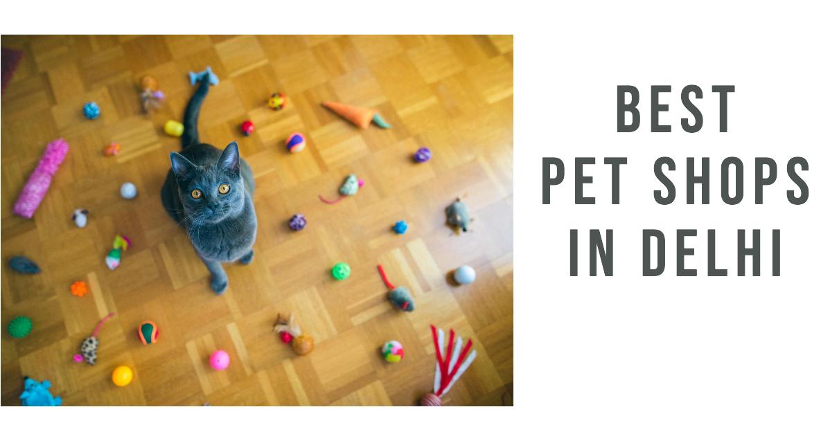 5 Best Pet Shops In Delhi (2026)