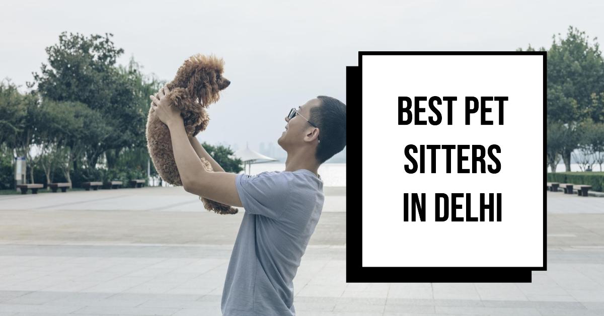 5 Best Pet Sitters In Delhi (2026)