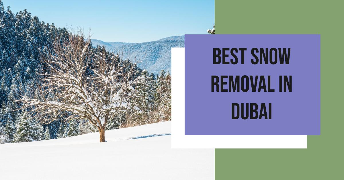 3 Best Snow Removal In Dubai (2026)