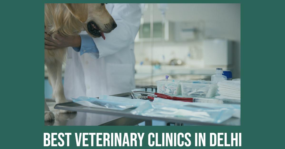 5 Best Veterinary Clinics In Delhi (2026)