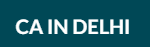 CA In Delhi logo
