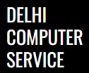 DELHI COMPUTER SERVICE logo