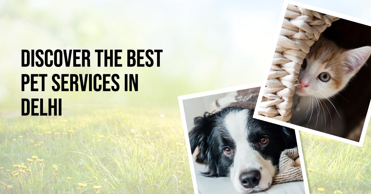 Pet Services