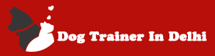 Dog Trainer In Delhi No. 1 Ashu Verma G logo