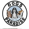 Dogs Paradise Grooming – Pet Grooming Service South Delhi logo
