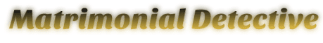 Matrimonial Detective Agency in Delhi logo
