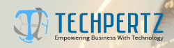 Techpertz IT Solutions logo