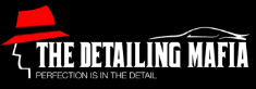 The Detailing Mafia Naraina, Delhi logo