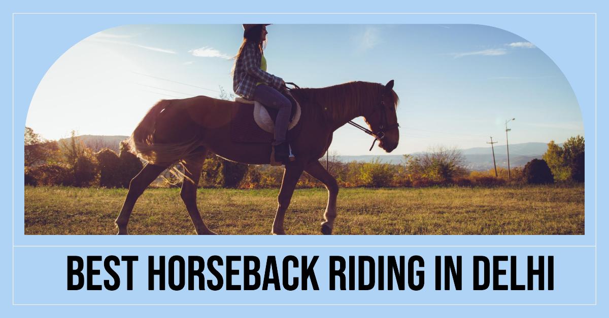 5 Best Horseback Riding In Delhi (2026)