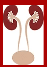 Pathak Stone And Urology logo