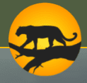 The Leopard Trail logo
