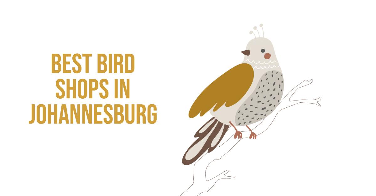 5 Best Bird Shops In Johannesburg (2026)