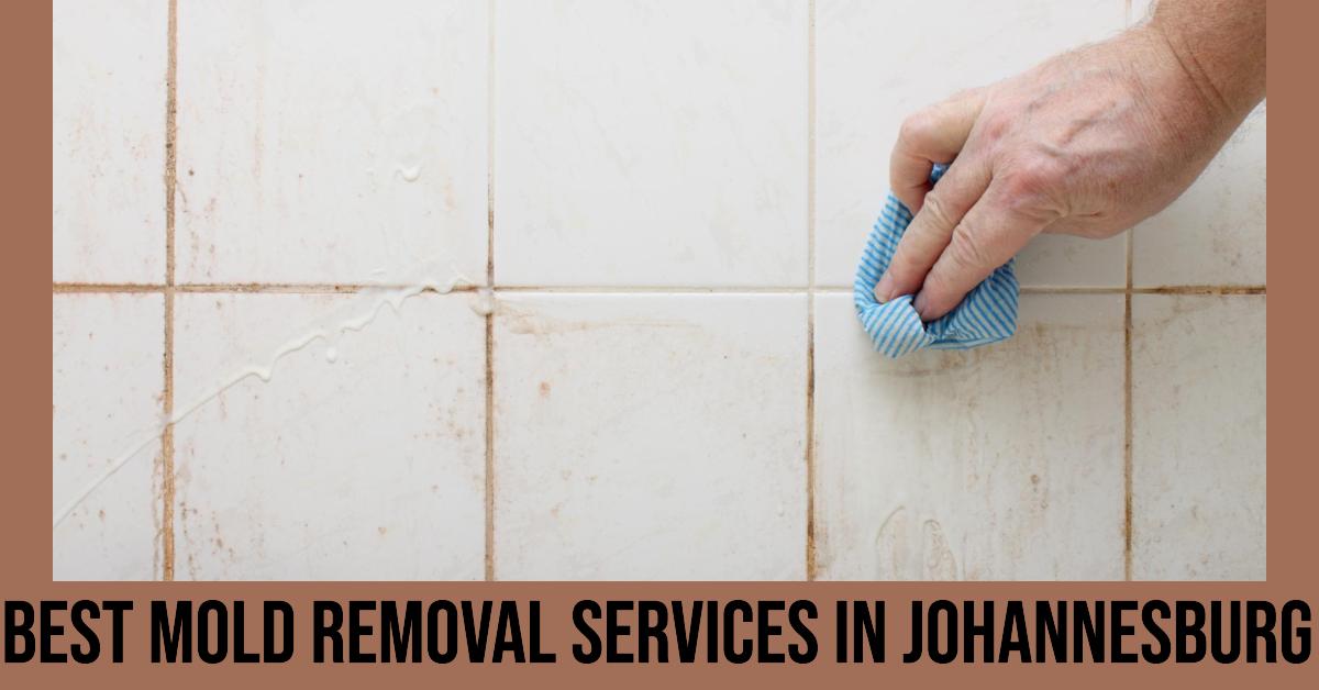 3 Best Mold Removal Services In Johannesburg (2026)