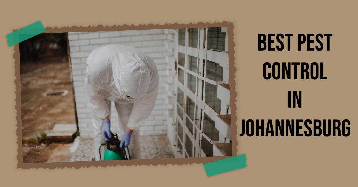 3 Best Pest Control In Johannesburg (2026)