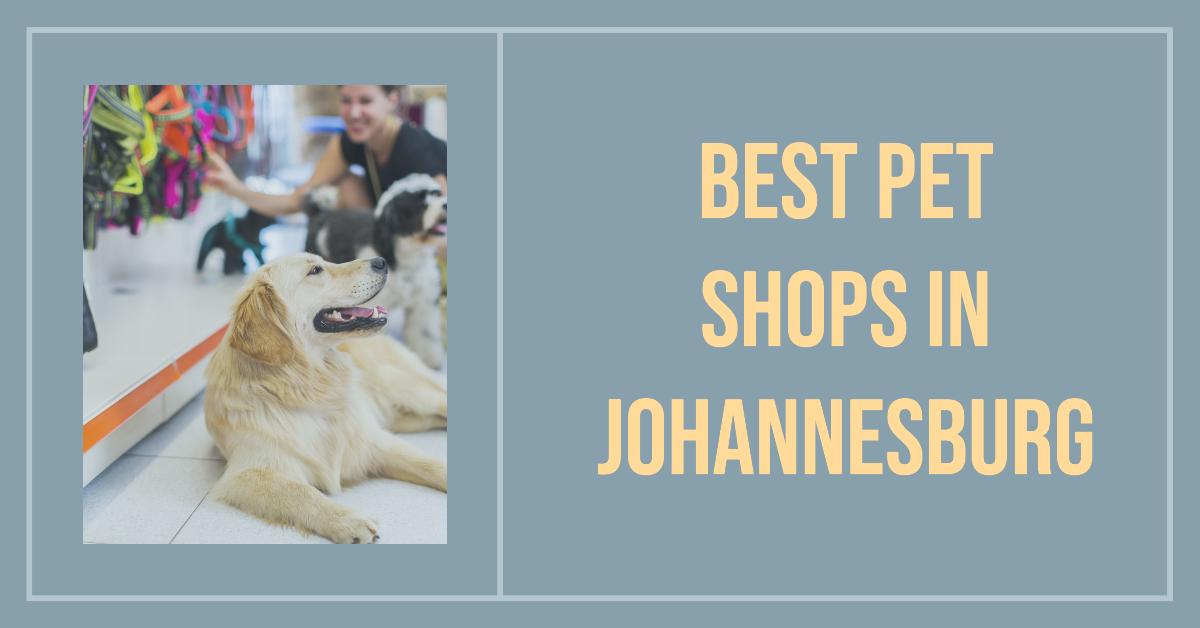 4 Best Pet Shops In Johannesburg (2026)