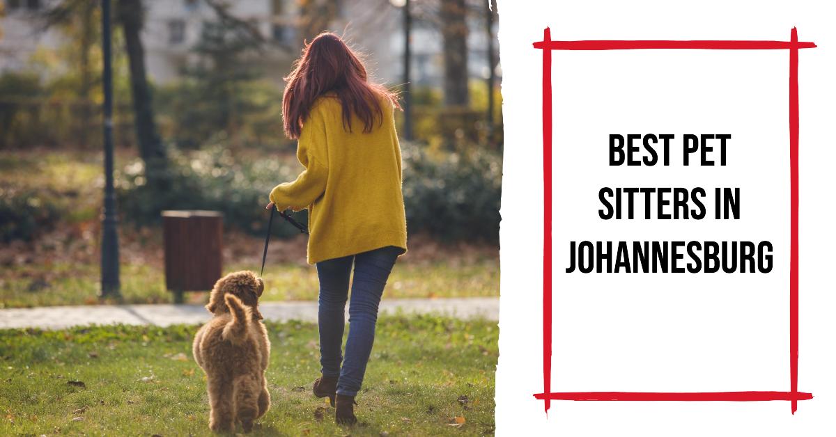 4 Best Pet Sitters In Johannesburg (2026)