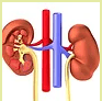 Dr. Jayant Kumar Hota logo