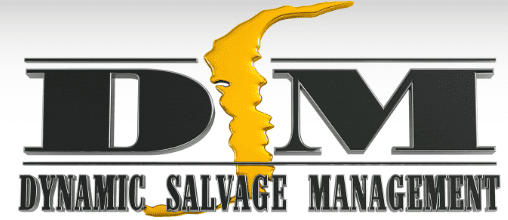 Dynamic Salvage Management logo