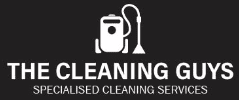 The Cleaning Guys logo