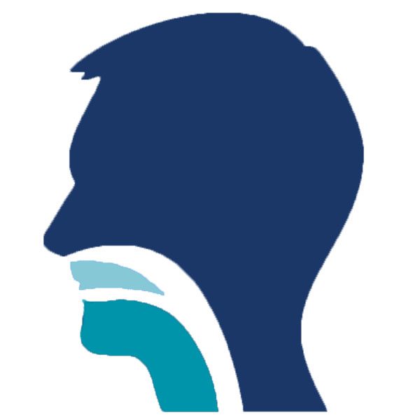 Dr Dean Gersun – Ear, Nose & Throat Specialist, Head & Neck Surgeon – ENT logo