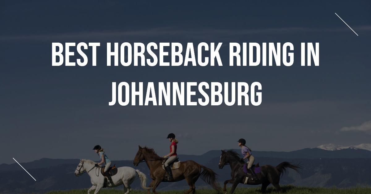 4 Best Horseback Riding In Johannesburg (2026)