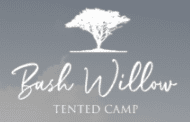 Bush Willow Tented Camp logo