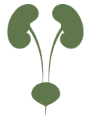 Dr Shauli Minkowitz – Urologist logo