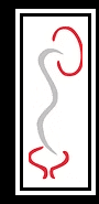 Dr Thirusha Reddy logo