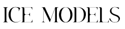 Ice Model Management Johannesburg logo