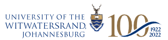Wits Art Museum logo