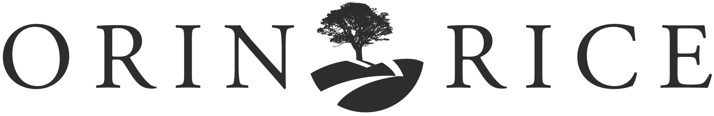 Orin Rice – Sales Recruiting logo
