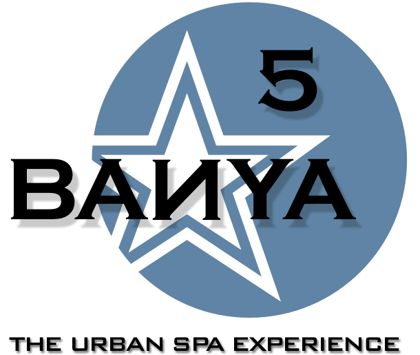 Banya 5 logo