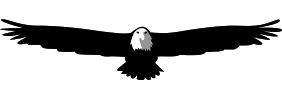 Olympic Tactical & Investigations LLC logo