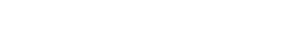 Pacific Northwest Limousine & Luxury Shuttle Service logo