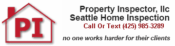 Property Inspector, LLC logo