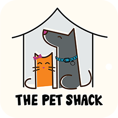 5 Best Cat Grooming In Abu Dhabi (2026)