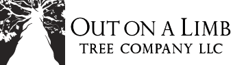 Out On A Limb Tree Co LLC logo